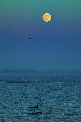 California Wall Art featuring the photograph At Anker Capitola California by Tommy Farnsworth