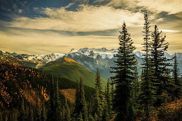 Tree Photograph - At The End Of A Beautiful Day by Ursula Abresch