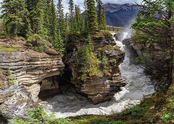Canada Wall Art featuring the photograph Athabasca Falls Jasper Alberta Canada by Tommy Farnsworth