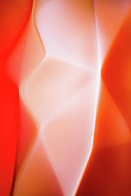 Summer Wall Art featuring the photograph Atletics by Ursula Abresch