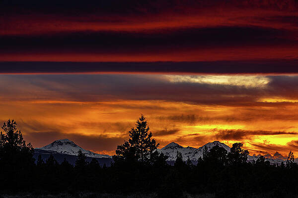 Bend Photograph - Auburn Blankets by Tim Lyden