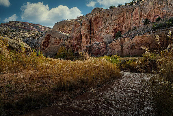 Nature Photograph - August 2024 Colorado River by Alain Zarinelli