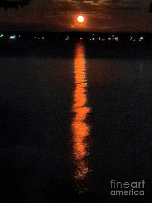 Serene Wall Art featuring the photograph August Blue Moon by William Norton