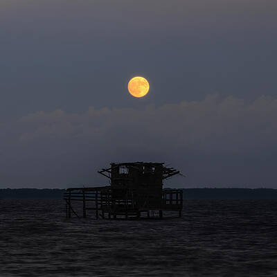 Sky Wall Art featuring the photograph August Moon by David Fountain