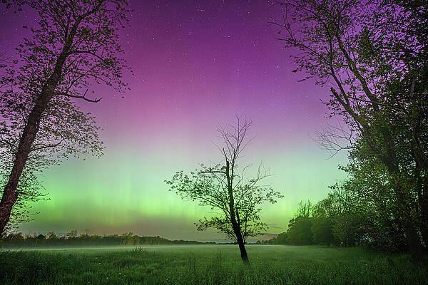Nature Wall Art featuring the photograph Aurora Borealis by Dave King