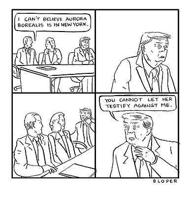 Setting Drawing - Aurora Borealis Is In New York by Brendan Loper