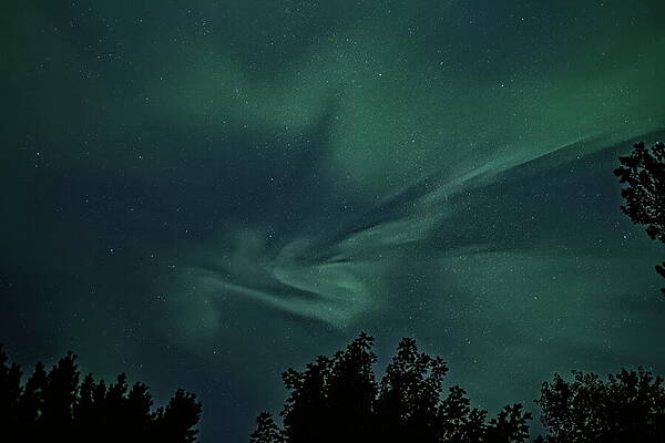 Wall Art featuring the photograph Aurora Corona August 2024 - 1 by Dale Kauzlaric