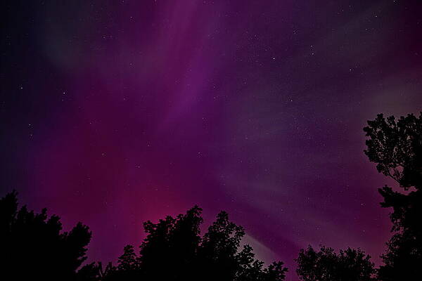 Wall Art featuring the photograph Aurora Corona August 2024 - 4 by Dale Kauzlaric