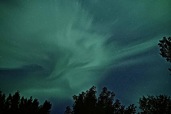 Wall Art featuring the photograph Aurora Corona August 2024 - 5 by Dale Kauzlaric
