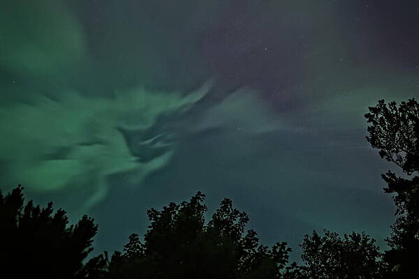 Wall Art featuring the photograph Aurora Corona August 2024 - 6 by Dale Kauzlaric