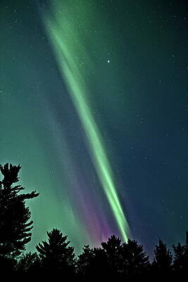 Wall Art featuring the photograph Aurora October 10 2024 - 1 by Dale Kauzlaric