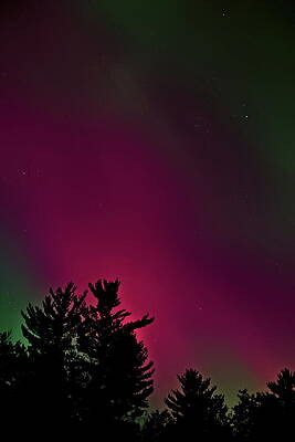 Wall Art featuring the photograph Aurora October 10 2024 - 2 by Dale Kauzlaric