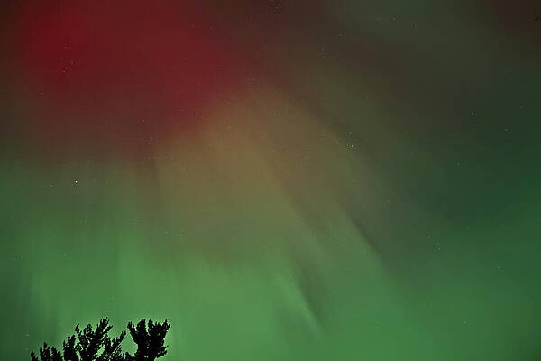 Wall Art featuring the photograph Aurora October 10 2024 - 4 by Dale Kauzlaric