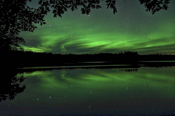 Wall Art featuring the photograph Aurora Under The Oak by Dale Kauzlaric