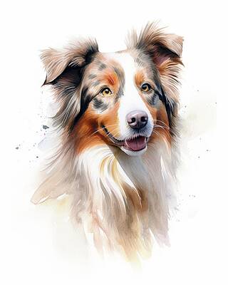 Portrait Painting - Australian Shepard by Land of Dreams