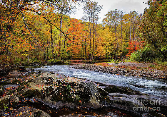 Serene Photograph - Autumn Along The Ocanaluftee River 3 by Ron Long Ltd Photography