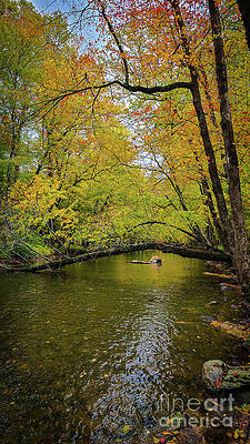 Serene Photograph - Autumn Along The Ocanaluftee River Vertical by Ron Long Ltd Photography