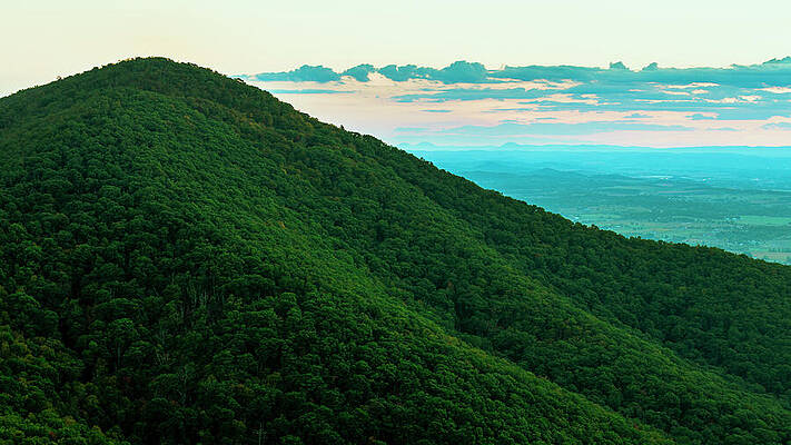 Lush Green Hills at Sunset Wall Art