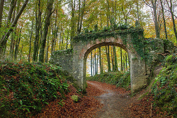 Fall Wall Art featuring the photograph Autumn Arch by Mark Callanan