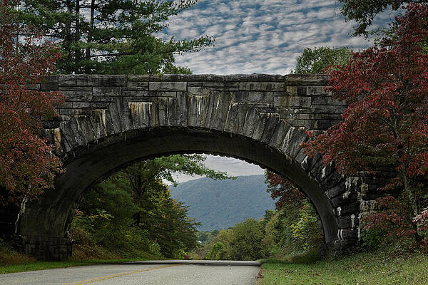 Sky Wall Art featuring the photograph Autumn Arch by Steve Templeton
