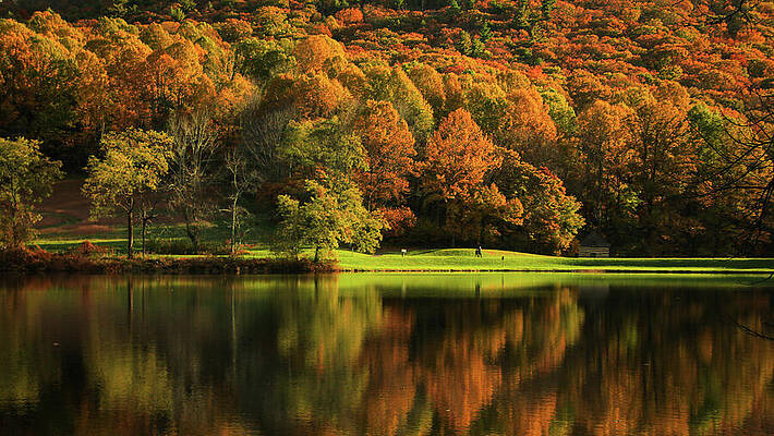 Nature Photograph - Autumn At Abbott Lake by Deb Beausoleil