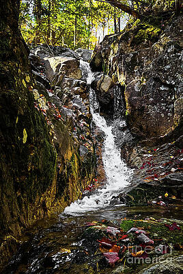 Serene Forest Waterfall Photograph