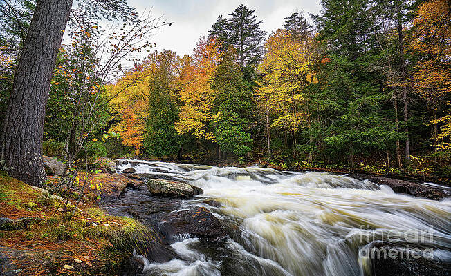New York Photograph - Autumn At Buttermilk Falls 4 by Ron Long Ltd Photography