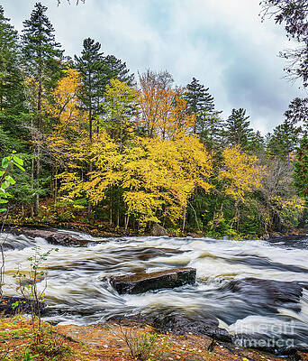 New York Photograph - Autumn At Buttermilk Falls by Ron Long Ltd Photography