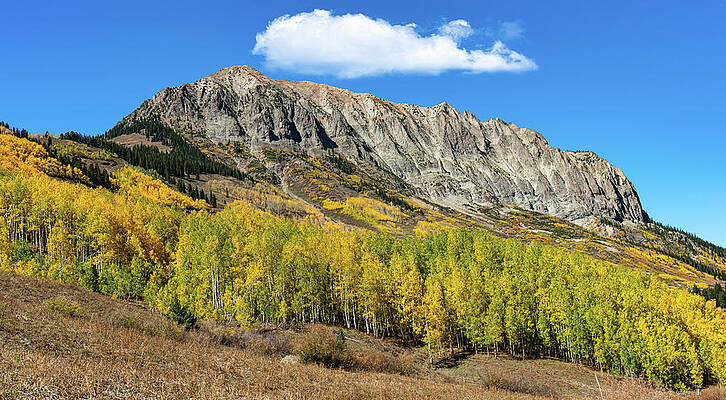 Fall Wall Art featuring the photograph Autumn At Gothic Mountain by Ron Long Ltd Photography