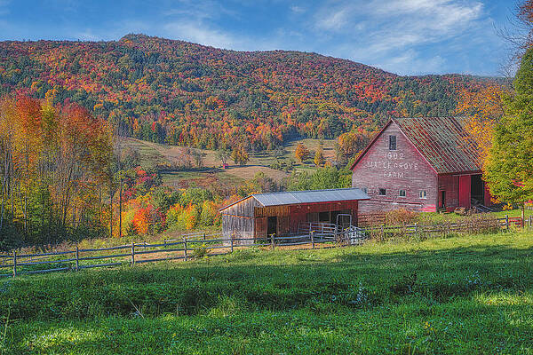 Wall Art featuring the photograph Autumn At Maple Grove Farm by Penny Polakoff