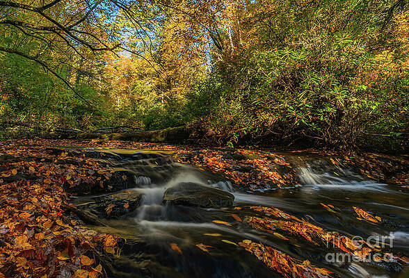 Fall Wall Art featuring the photograph Autumn At Pinky Falls 2 by Ron Long Ltd Photography