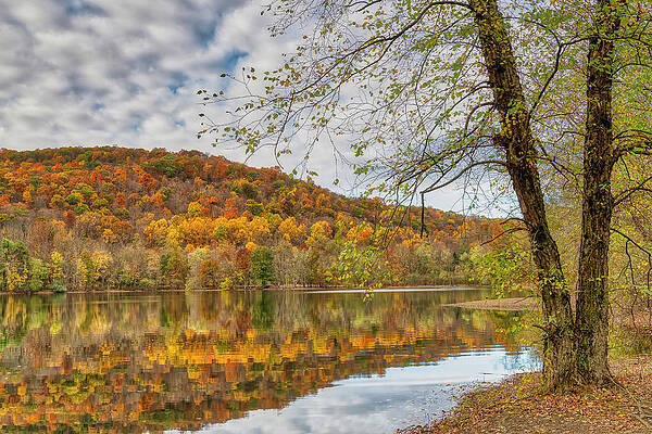 Wall Art featuring the photograph Autumn At Ramapo by Penny Polakoff