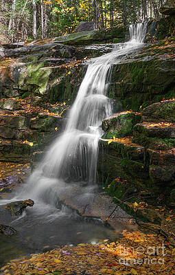 Tranquil Forest Waterfall Photograph