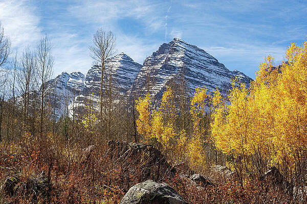 Tree Wall Art featuring the photograph Autumn At The Bells by Diane Moller