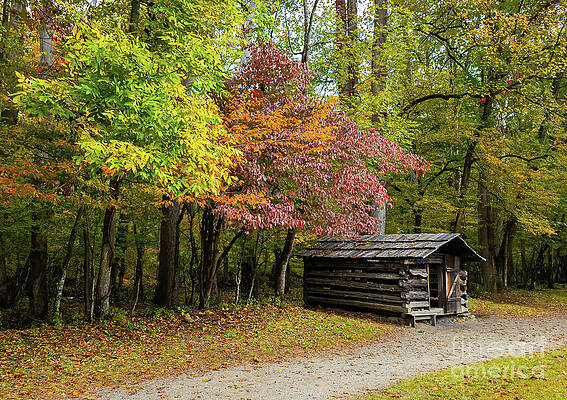 Tranquil Wall Art featuring the photograph Autumn At The Blacksmith Shop by Ron Long Ltd Photography