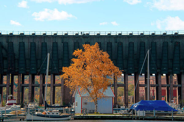 Michigan Photograph - Autumn At The Ore Dock by Vi Ray