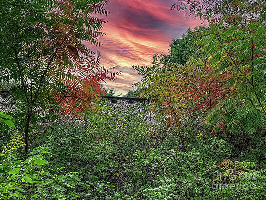 Fall Photograph - Autumn Begins by William Norton