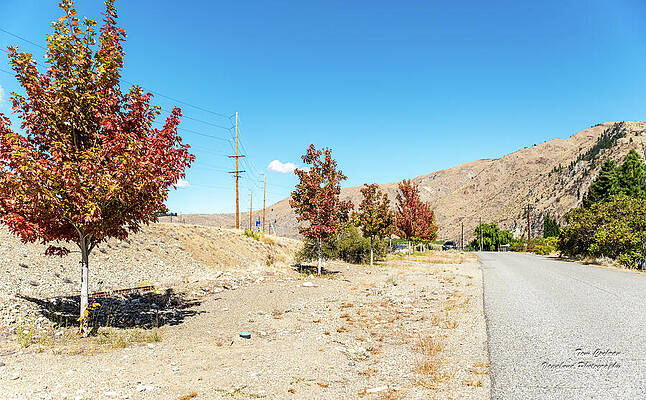 Fall Wall Art featuring the photograph Autumn Color On Lakeshore Drive by Tom Cochran