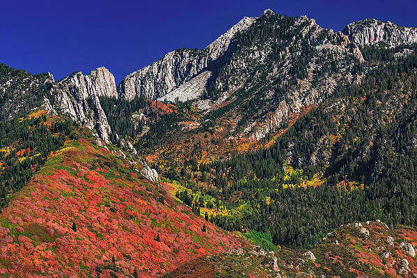 Color Photograph - Autumn Colors Below Lone Peak, Utah by Abbie Warnock
