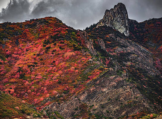 Color Photograph - Autumn Colors Near The Houndstooth, Utah by Abbie Warnock
