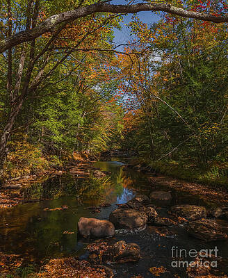 Serene Autumn River Scene Photograph