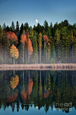 Wall Art featuring the photograph Autumn Evening by Thomas Nay