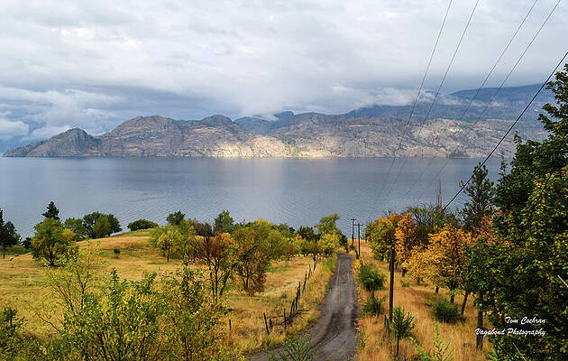 Farm Photograph - Autumn Farm Road To Okanagan Lake by Tom Cochran
