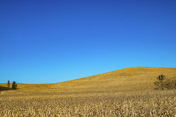 Landscape Photograph - Autumn Field_9422 by Mark Triplett