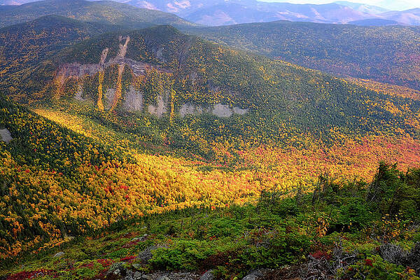 Wall Art featuring the photograph Autumn Fire, Carrigain Notch. by Jeff Sinon