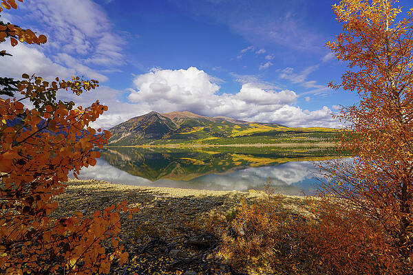 Mountain Photograph - Autumn Framing by Sunniye Buesing