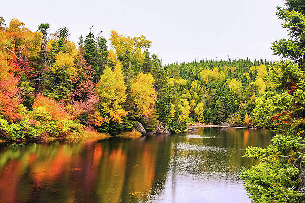 Vibrant Autumn Forest by the Lake Wall Art