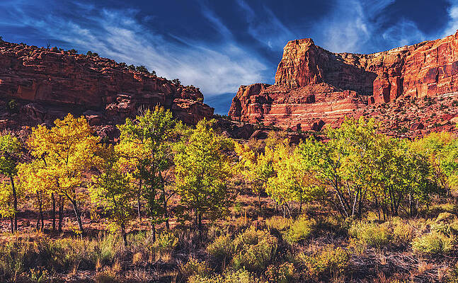 Beautiful Photograph - Autumn In Buckhorn Draw, Utah by Abbie Warnock