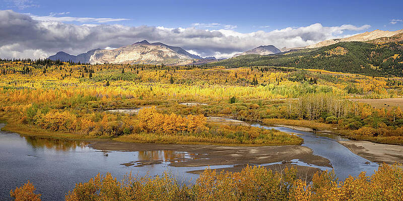 Tree Photograph - Autumn In Glacier National Park by Richard DeYoung