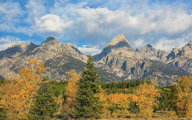 Wall Art featuring the photograph Autumn In Grand Tetons by Dan Sproul